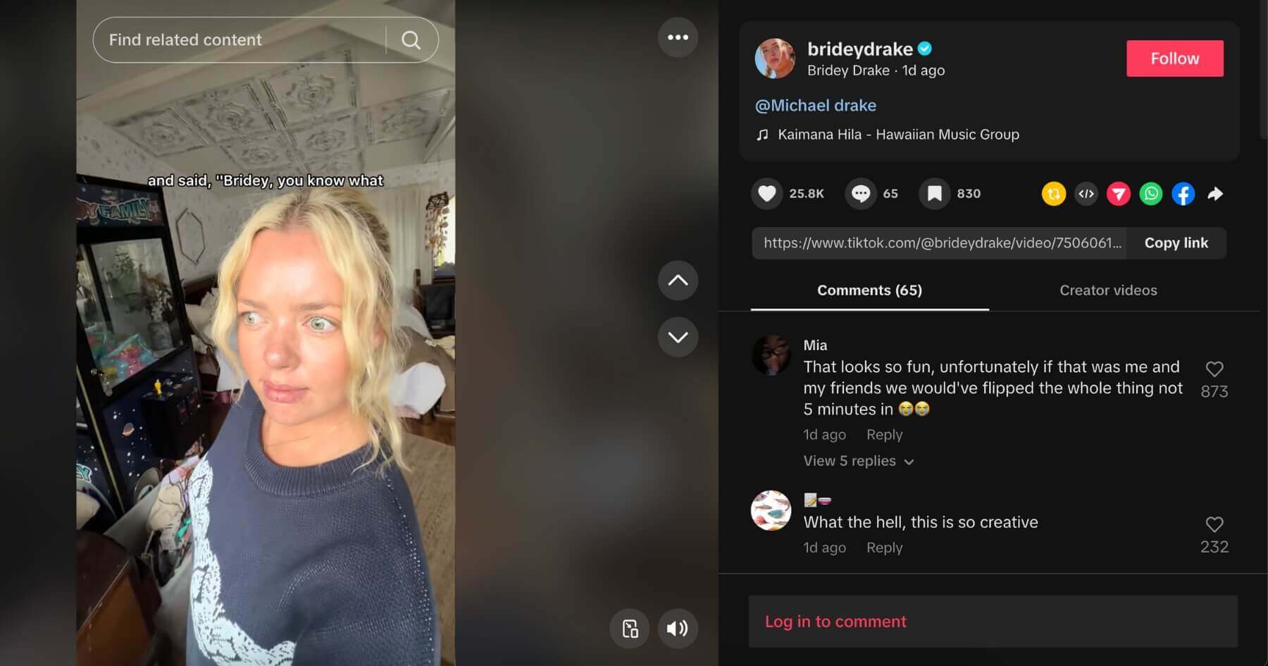 Bridey Drake TikTok screenshot of a video featuring her brother, Michael